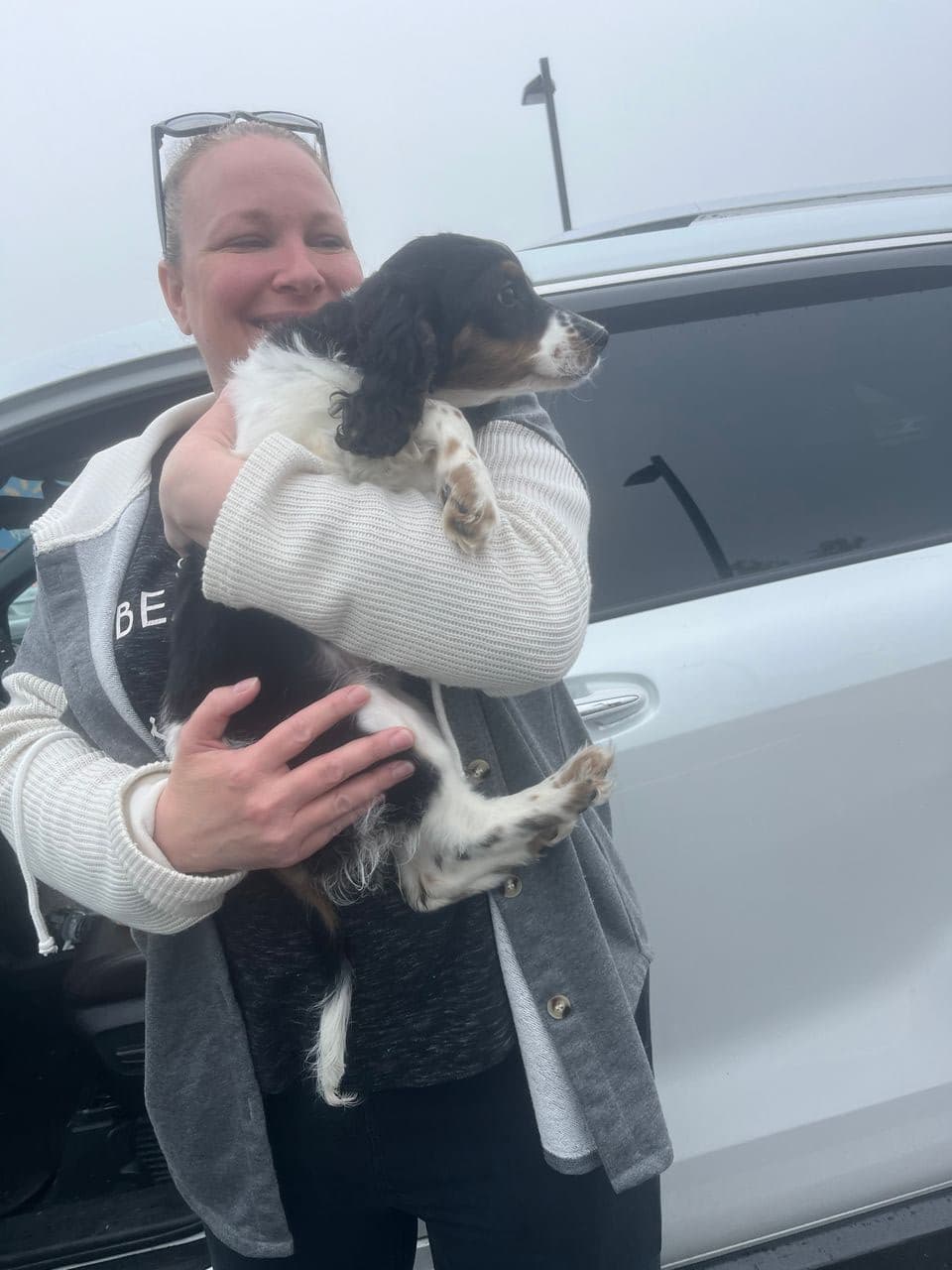 Pet travel photo 5
