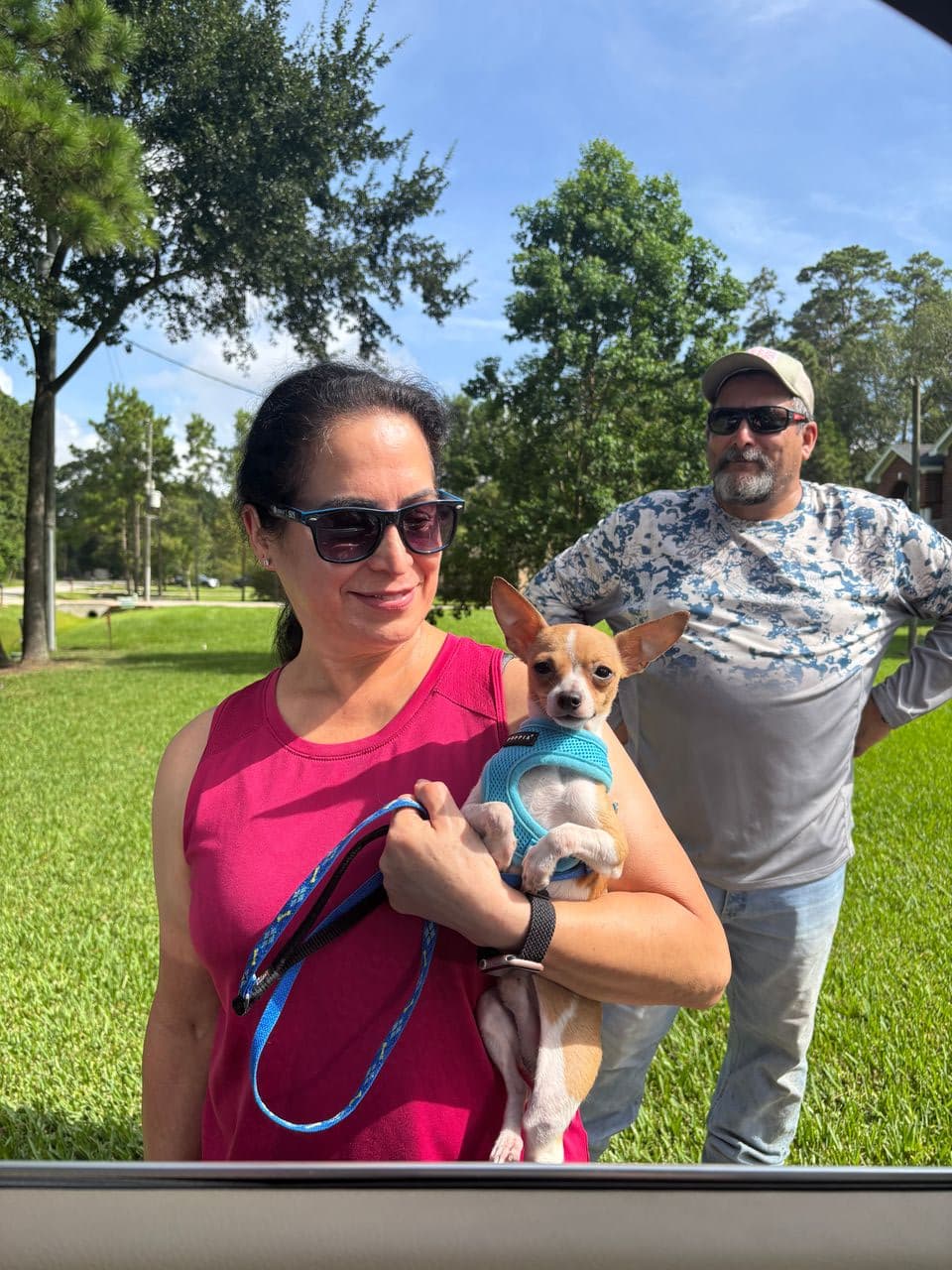 Pet travel photo 1
