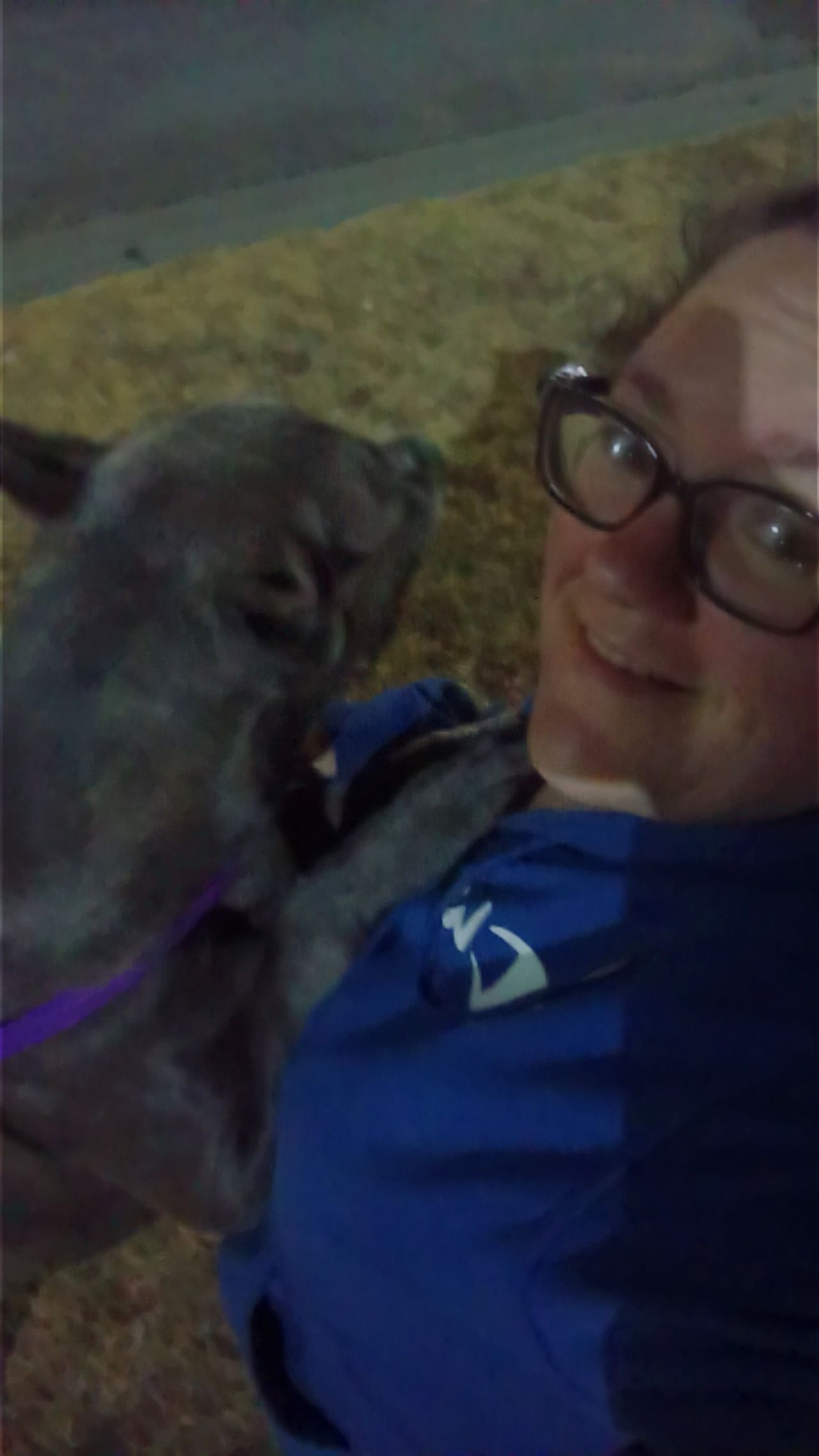 Pet travel photo 4