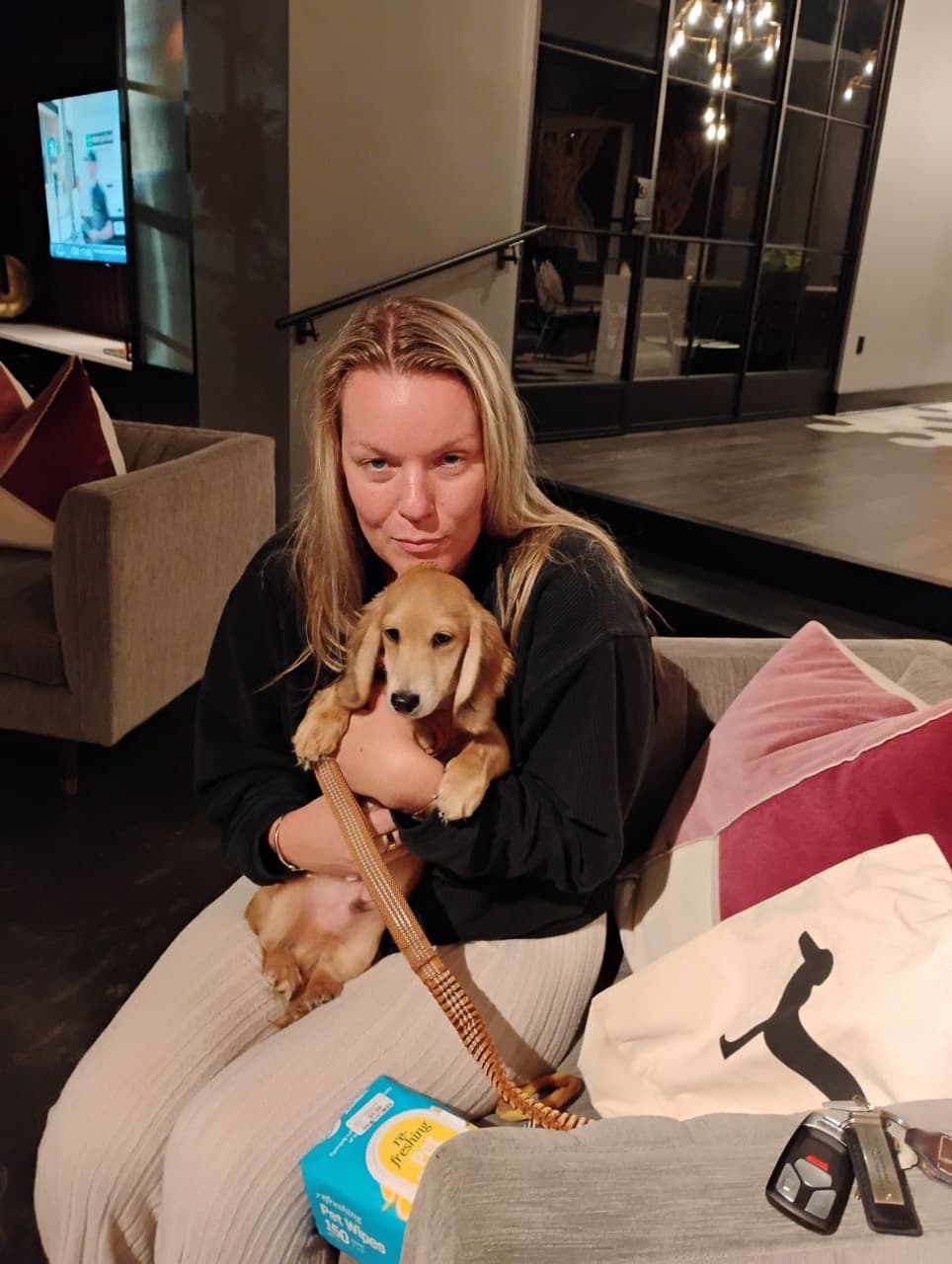 Pet travel photo 2