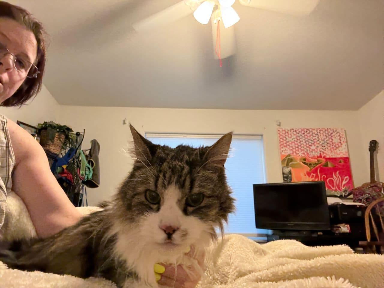 Pet travel photo 1