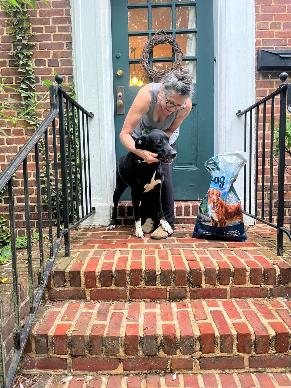 Pet travel photo 3