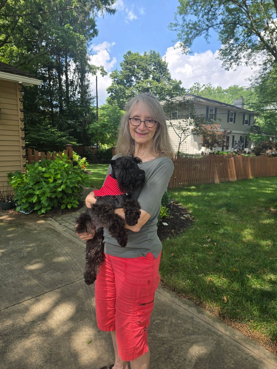 Pet travel photo 2