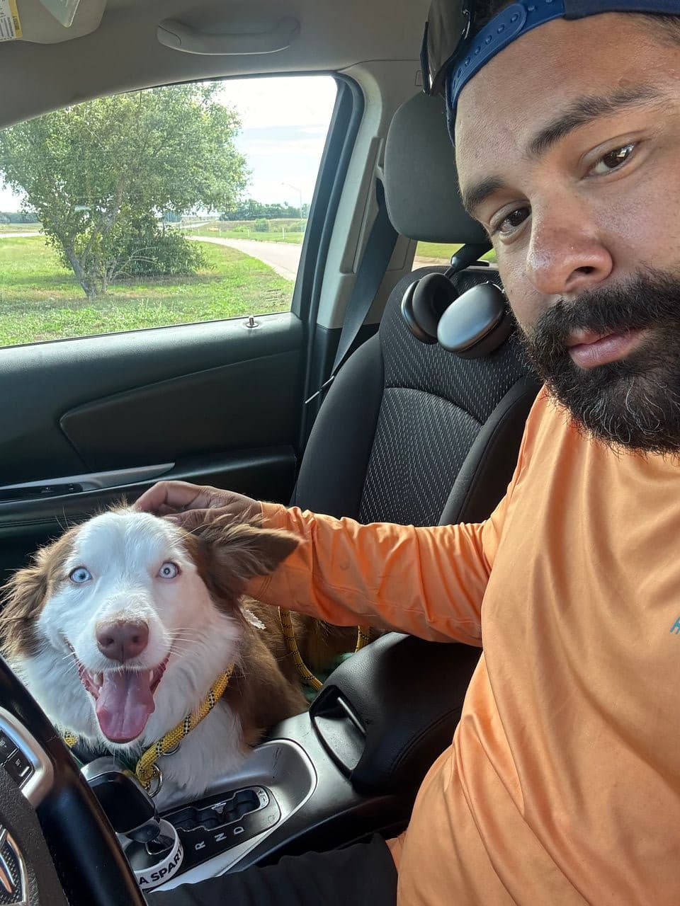 Pet travel photo 4