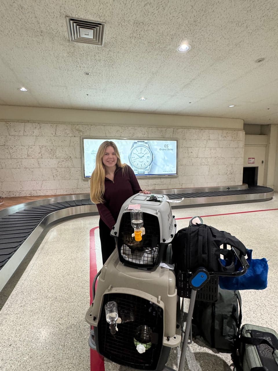 Pet travel photo 1
