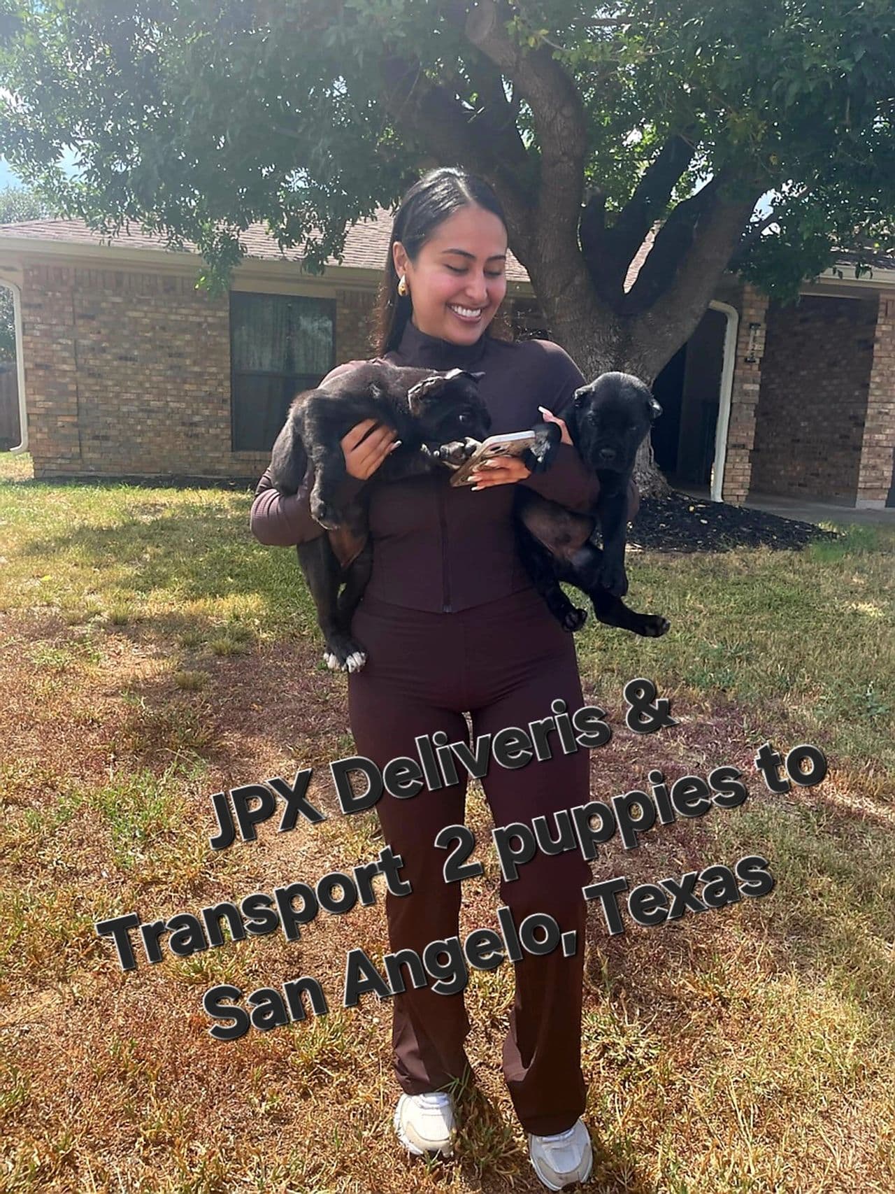 Pet travel photo 2