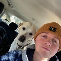 Solo Luxury Transport