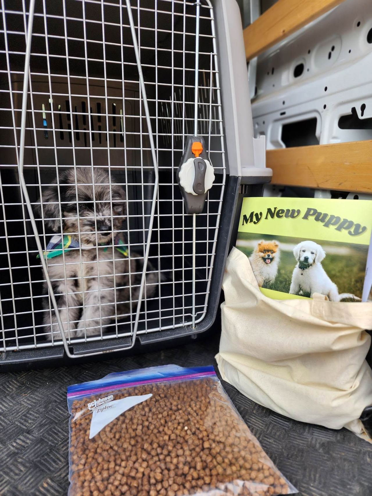 Pet travel photo 6