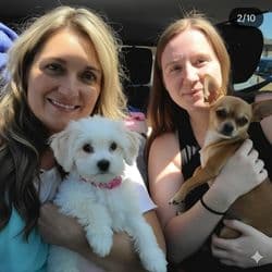Pawsitive Moves LLC