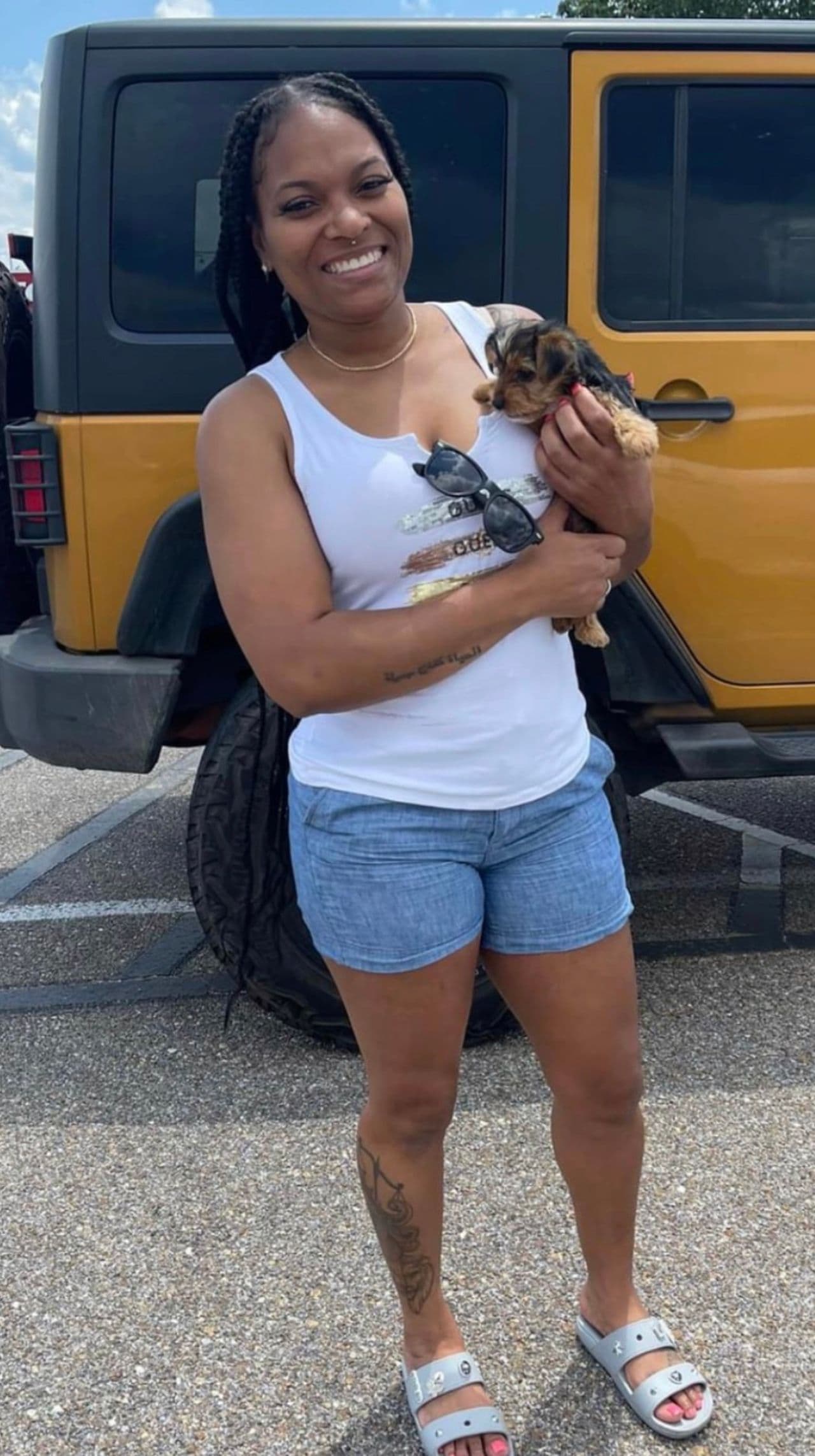Pet travel photo 3