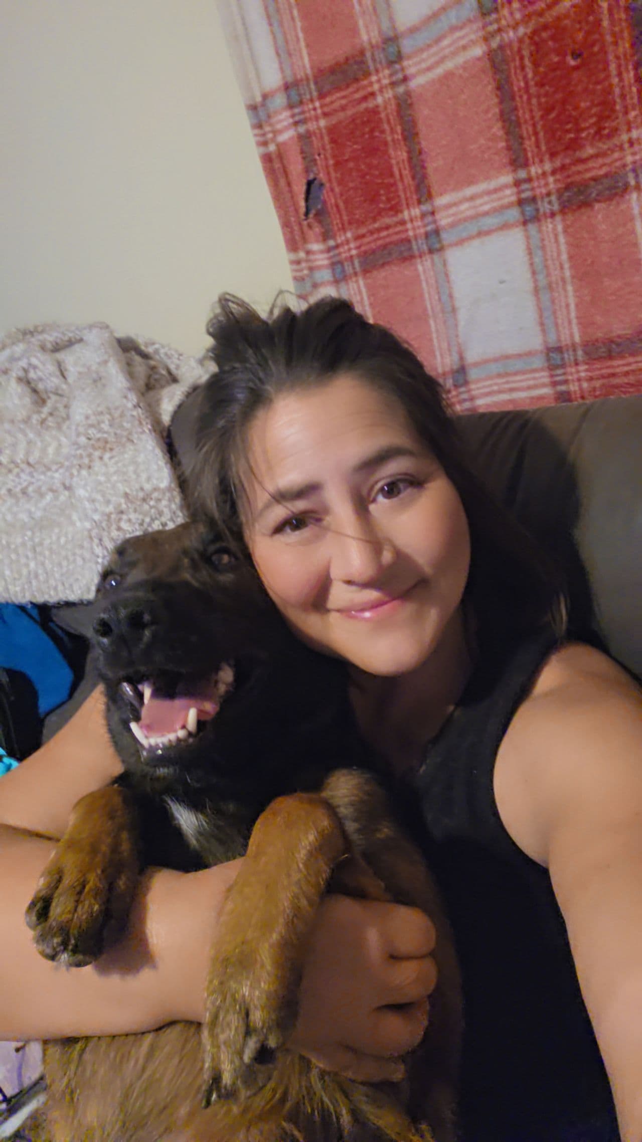Pet travel photo 5