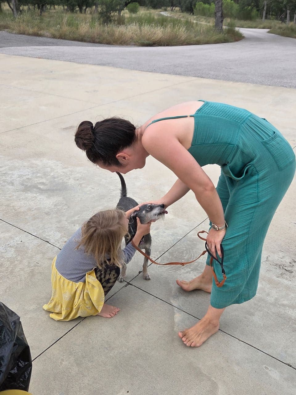 Pet travel photo 4