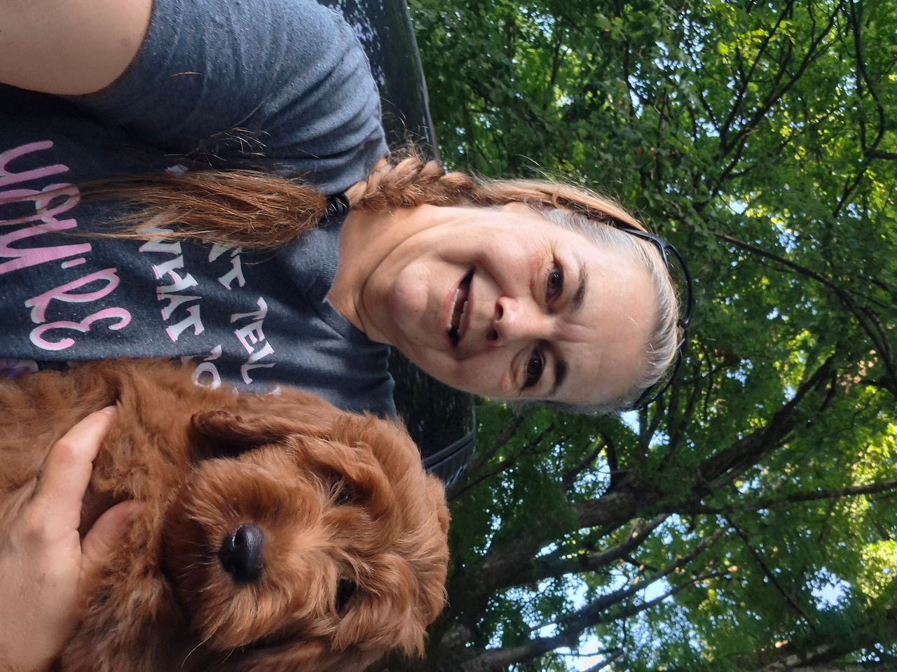Pet travel photo 1