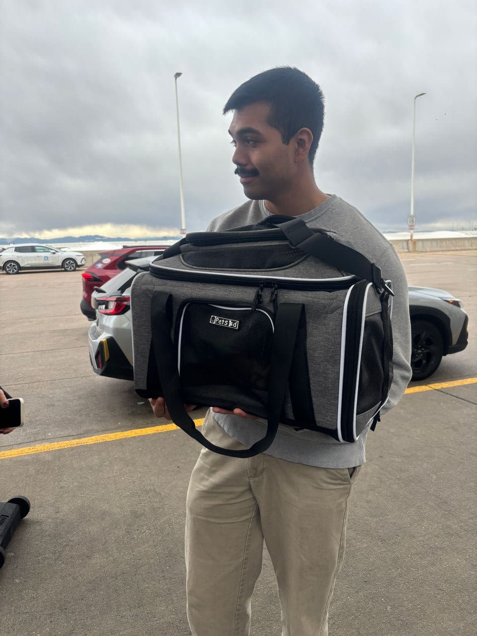 Pet travel photo 1