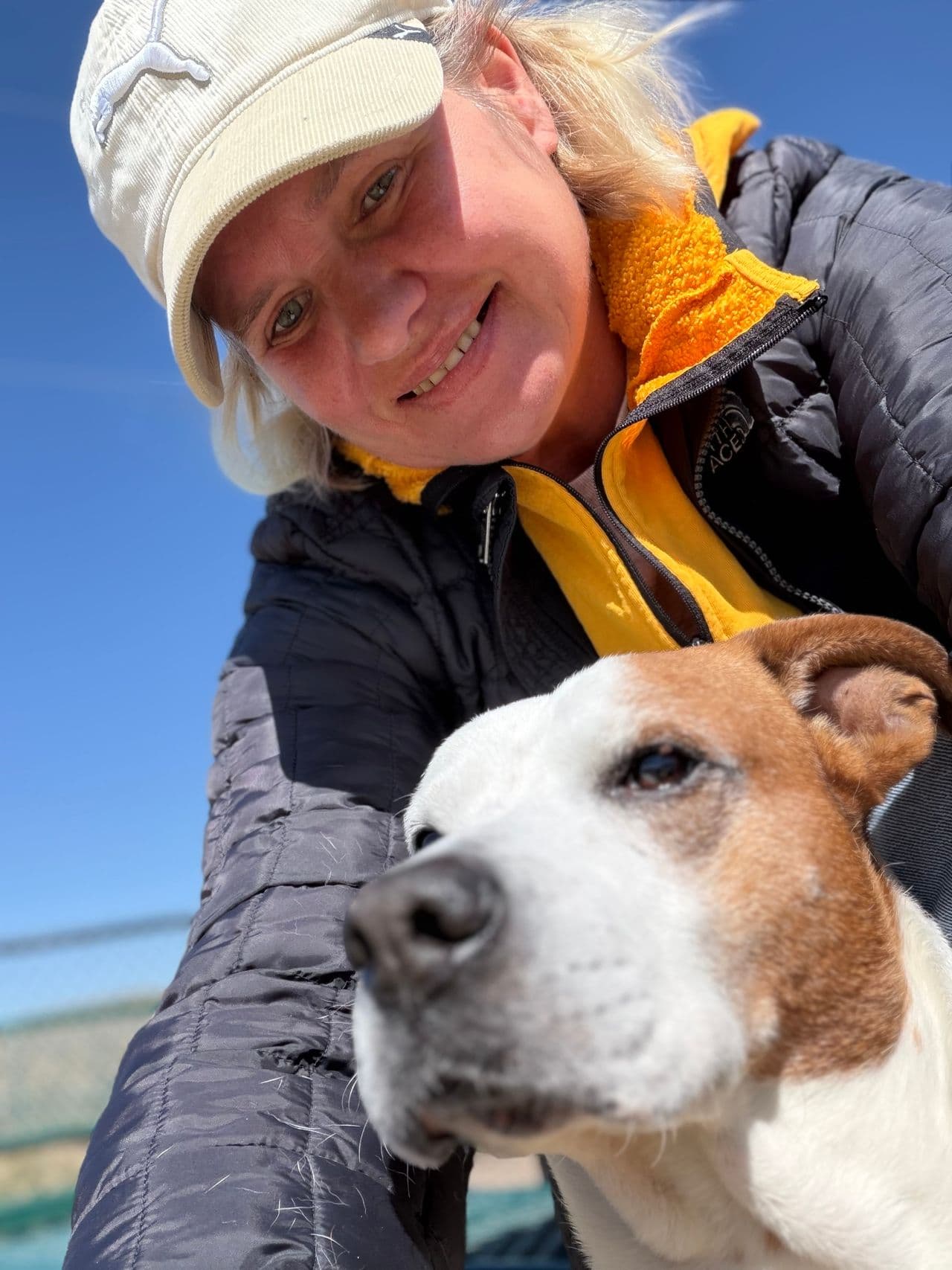 Pet travel photo 6