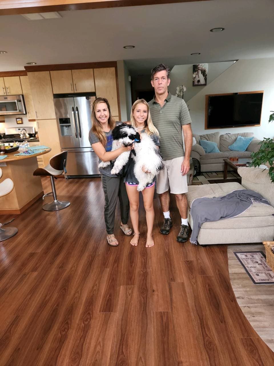 Pet travel photo 5