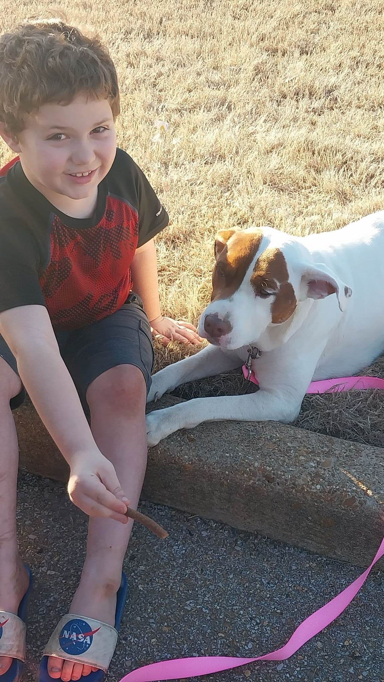 Pet travel photo 3