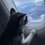 Paws and Claws Cabin Flights LLC