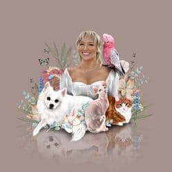 It’s A Breeze Pet Transport