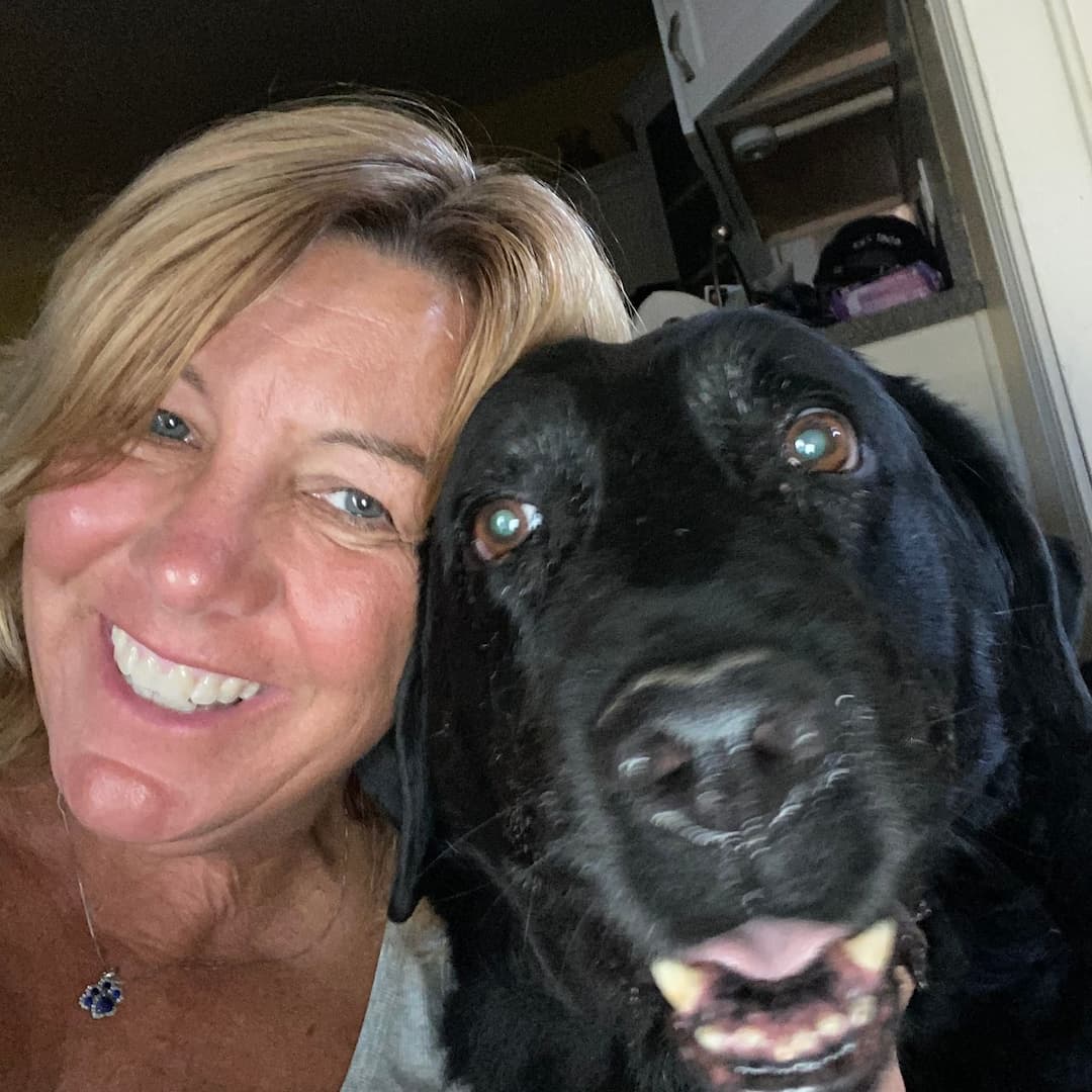 Pet Vacations & Air Transport
