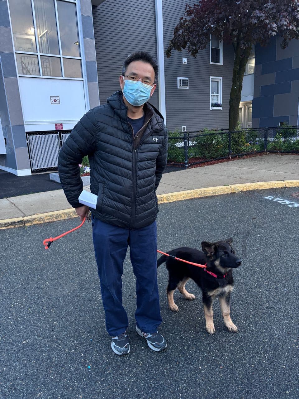 Pet travel photo 6