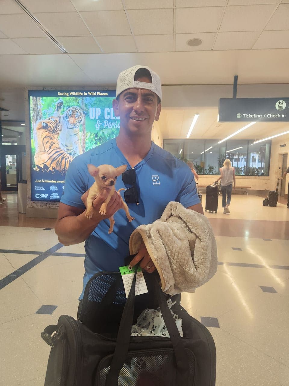 Pet travel photo 5