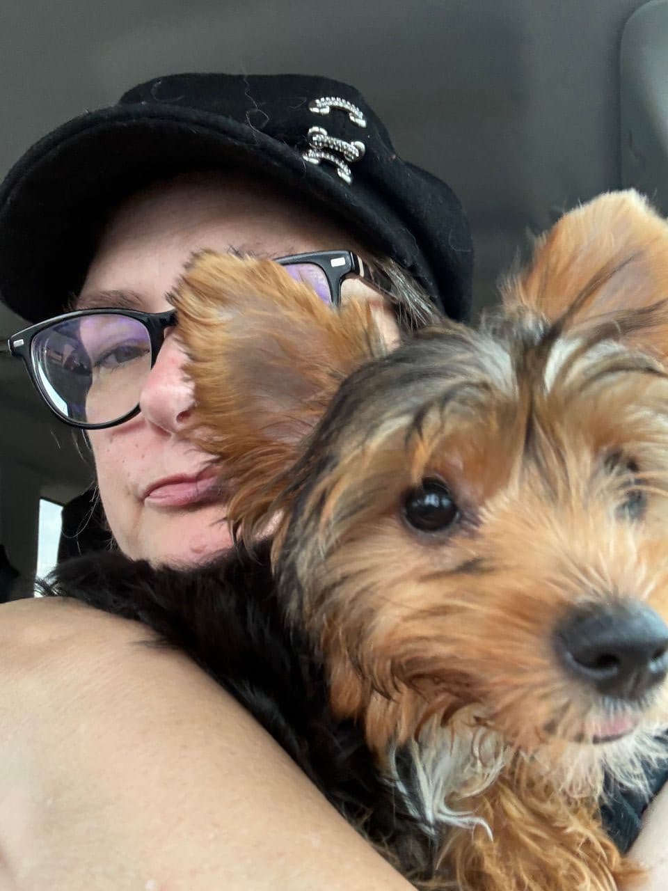 Pet travel photo 3
