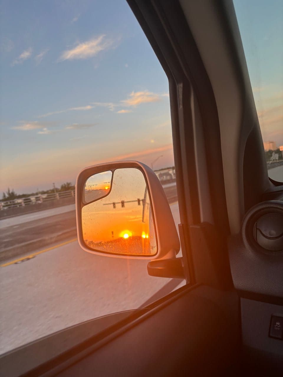 Pet travel photo 3