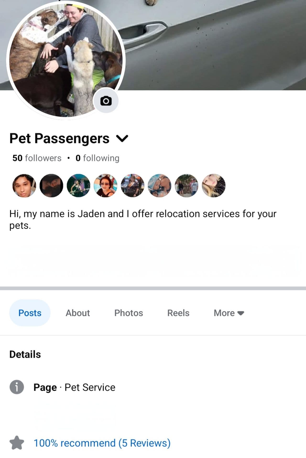 Pet travel photo 2