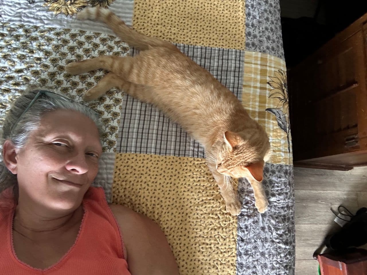 Pet travel photo 6