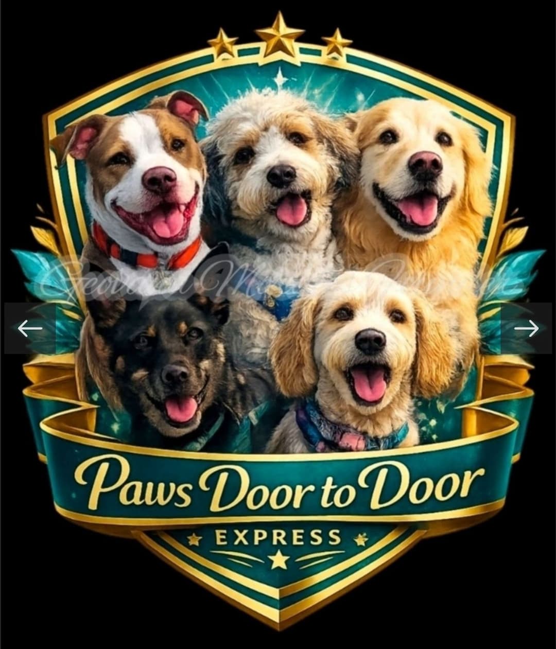 Paws Door 2 Door  Express.