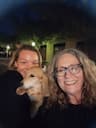 Great Smoky Mts Pets & More Transports