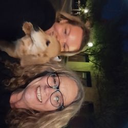 Great Smoky Mts Pets & More Transports