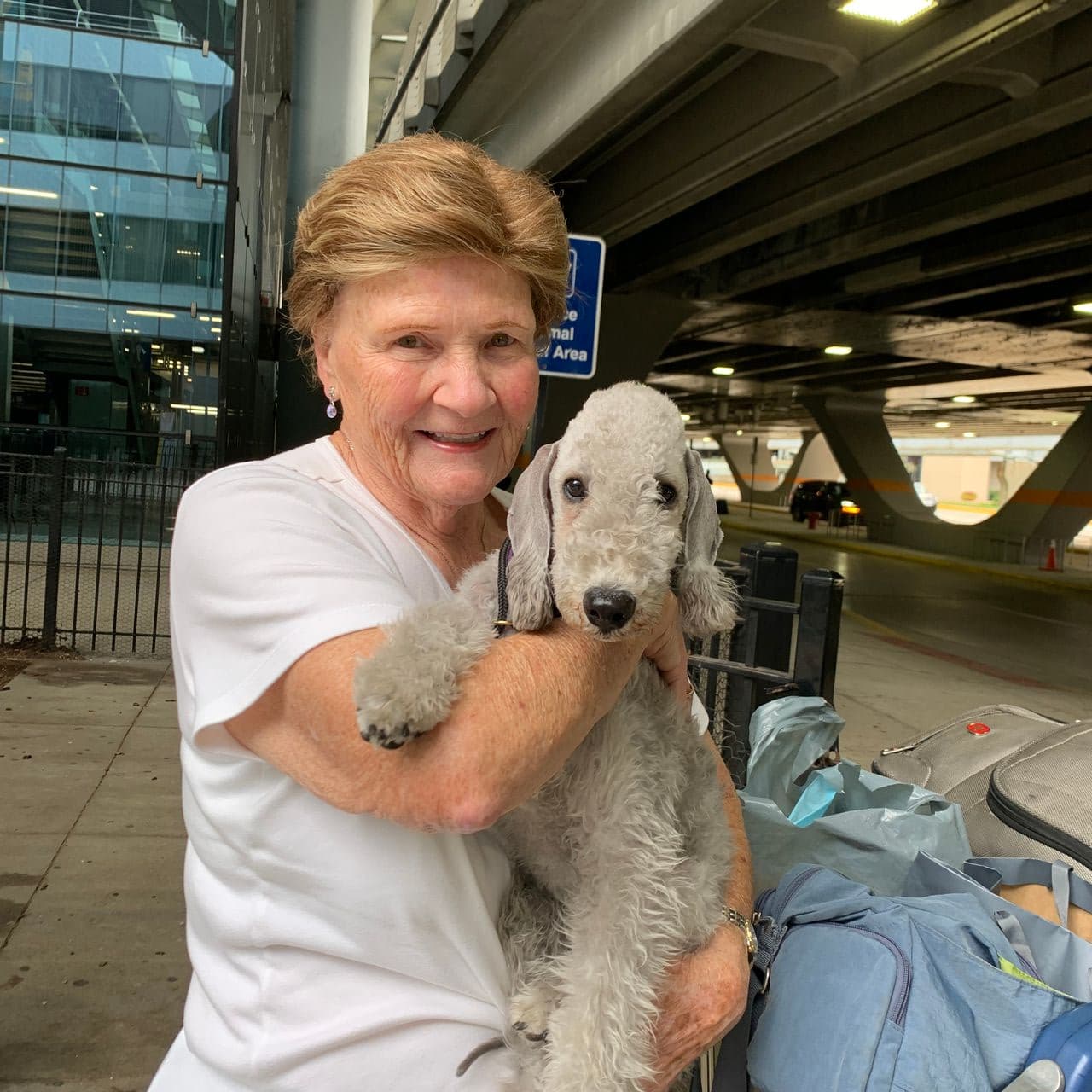 Pet travel photo 5