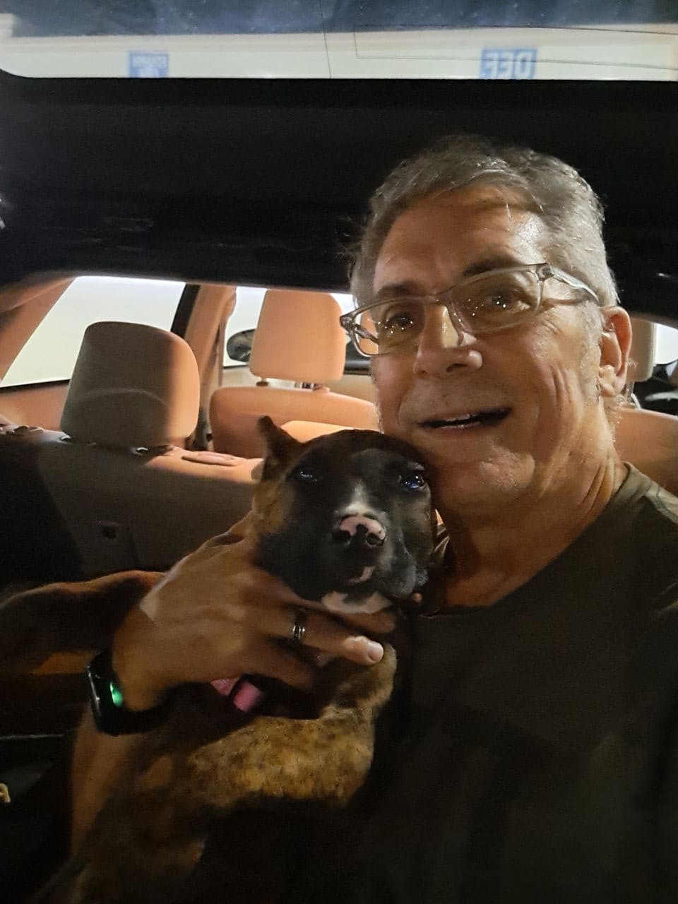Pet travel photo 3