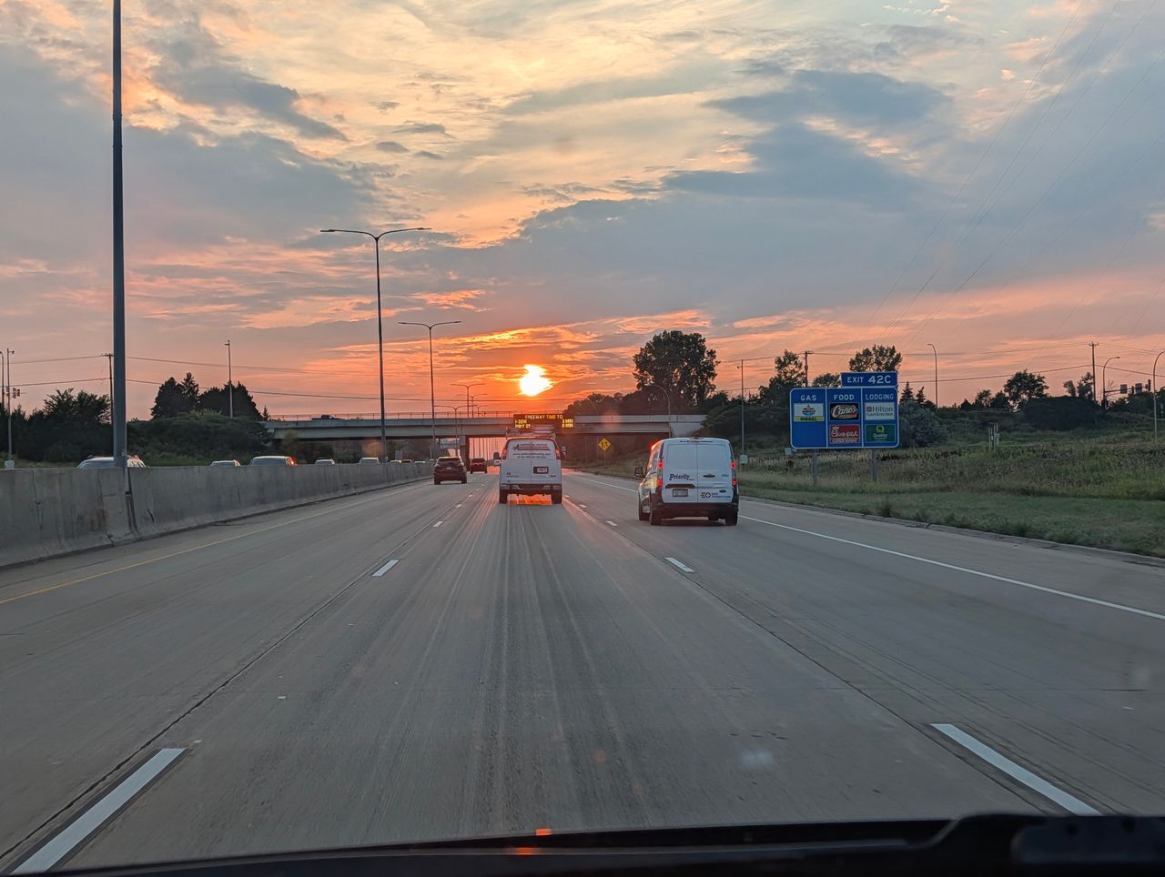 Pet travel photo 6