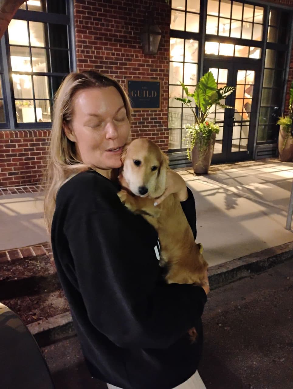 Pet travel photo 4
