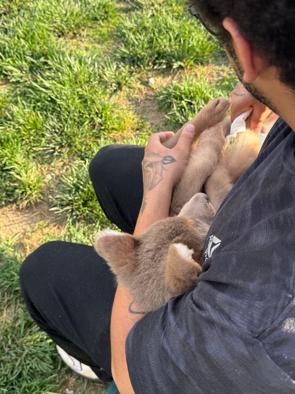 Pet travel photo 1
