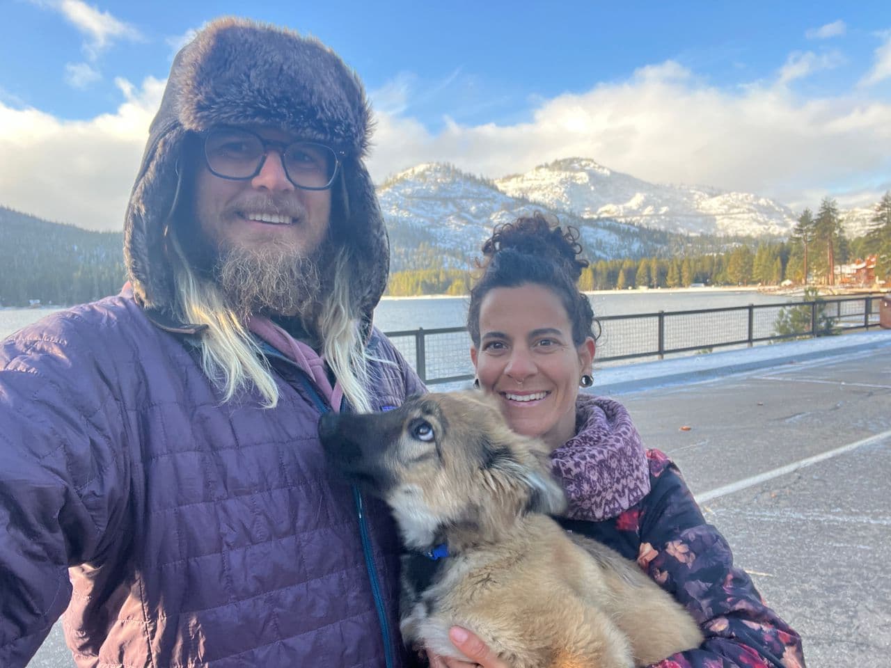 Pet travel photo 2