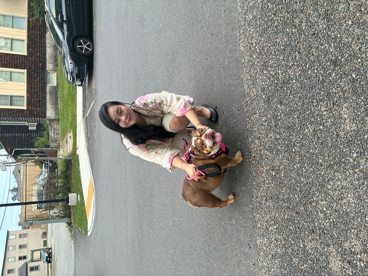Pet travel photo 5