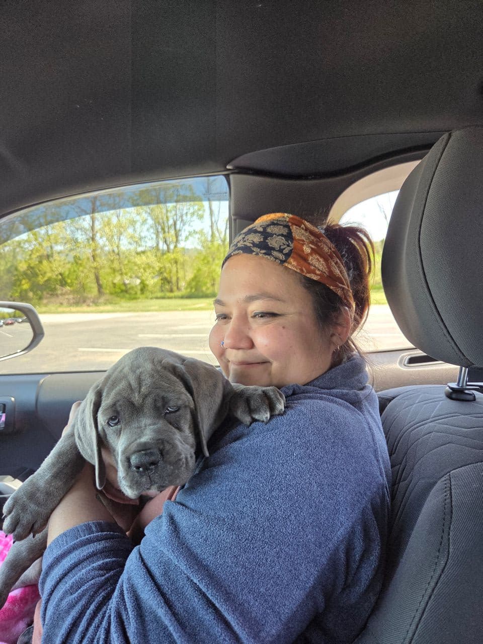 Pet travel photo 3