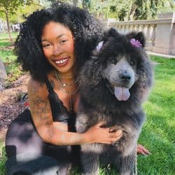 Cozy Prince Pawsport