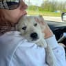 Paws N Us Transport