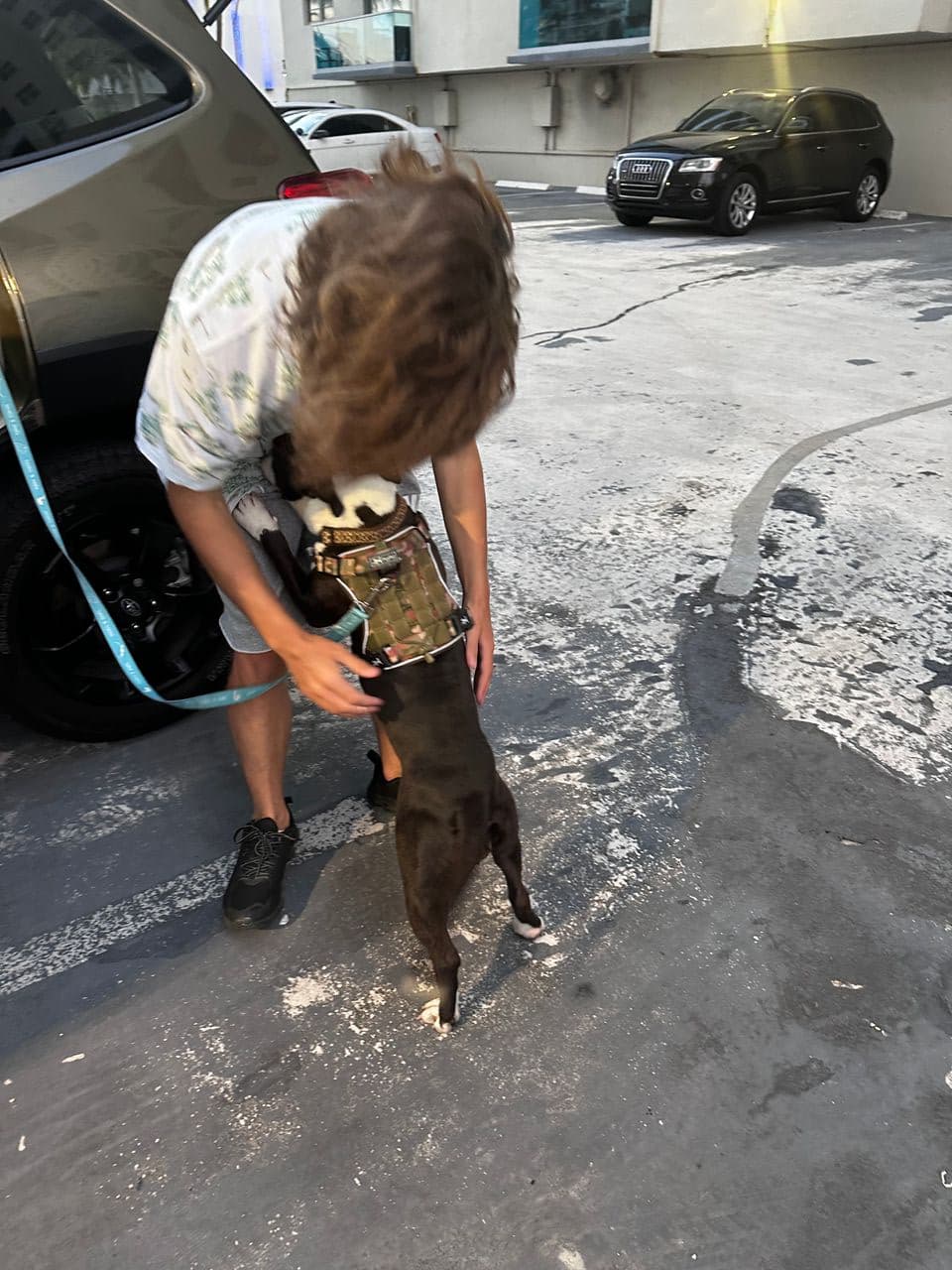 Pet travel photo 3