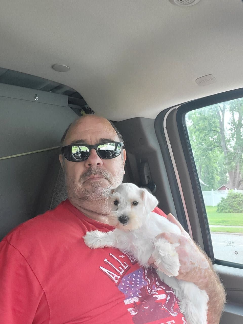 Pet travel photo 1