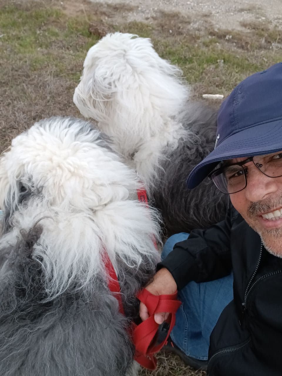 Pet travel photo 1