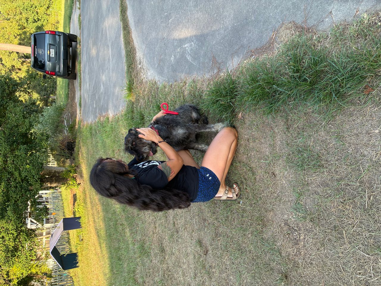 Pet travel photo 1