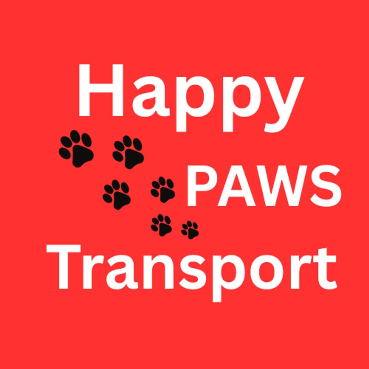 Pet travel photo 1