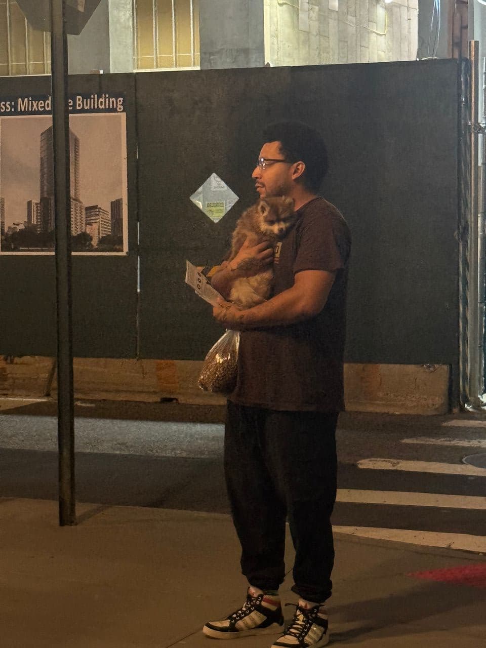 Pet travel photo 2