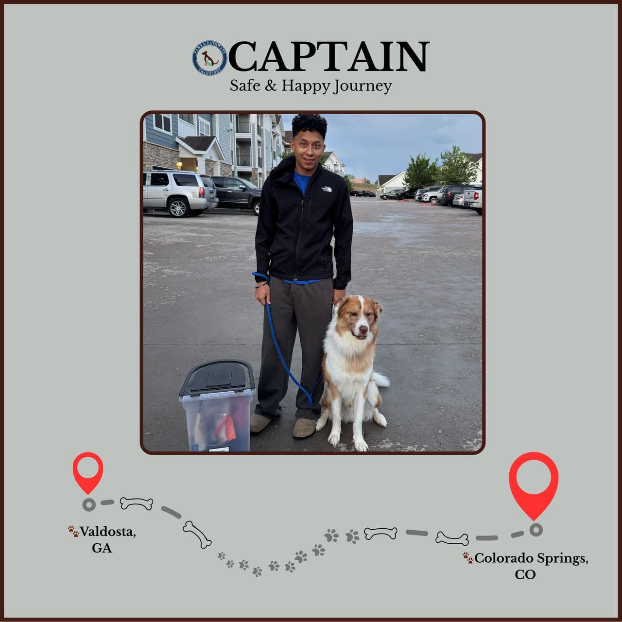 Pet travel photo 3